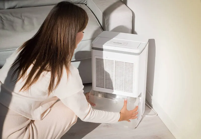 dehumidifier reducing moisture in coastal home Florida