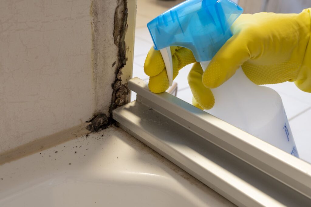 professional cleaner checking bathroom for mold and moisture in coastal home