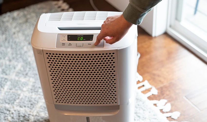 dehumidifier controlling humidity coastal home Santa Rosa Beach